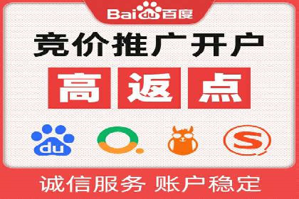 行业领先企业的SEM运营策略案例解析
